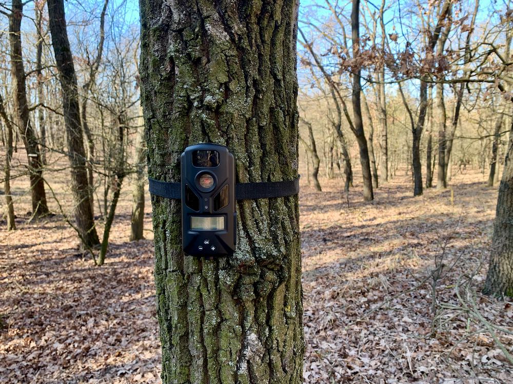 Test: camera vanatoare Niteforce Mini